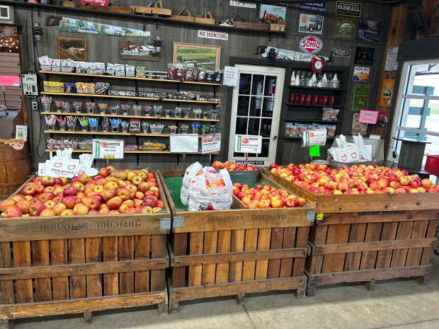 Burnham's Orchards, 8019 State Route 113 in Berlin Heights, serves as a year-round destination for apples and other fresh products. (Larissa Beriswill - The Morning Journal)