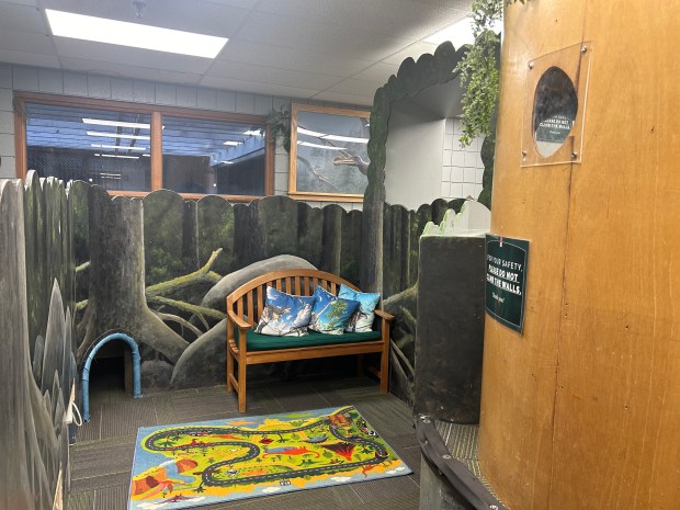 The indoor play place at the Carlisle Visitor's Center has a Jurassic theme, with tubes and a slide for children. (Larissa Beriswill - The Morning Journal)