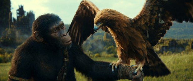 "Kingdom of the Planet of the Apes," featuring Owen Teague as chimpanzee Noa, hits theaters on May 10. (Courtesy of 20th Century Studios)